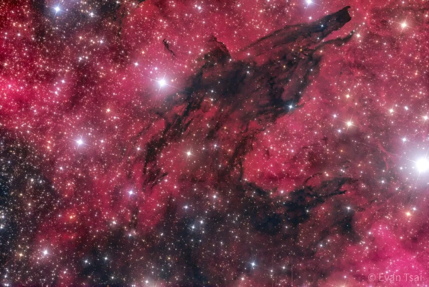 以雙峰濾鏡強化的野狼星雲（Wolf Nebula）成果