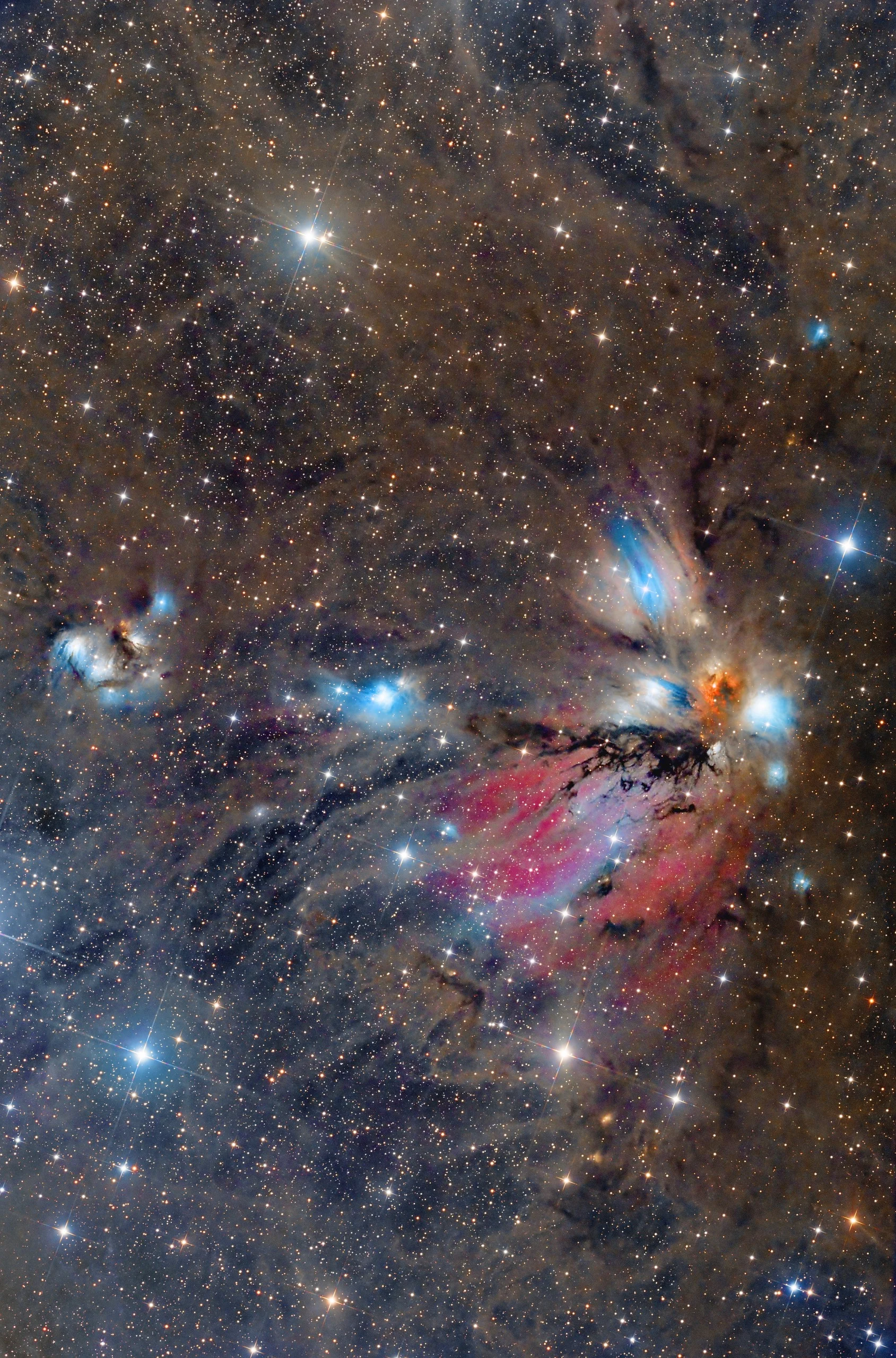 NGC 2170 Angel Nenula